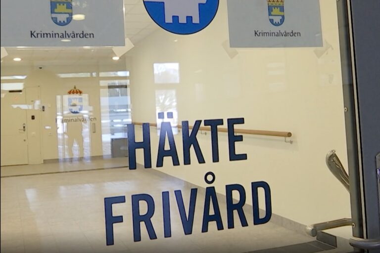 Frivården