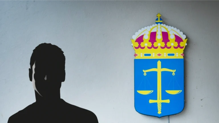 Vad är skyddstillsyn?
